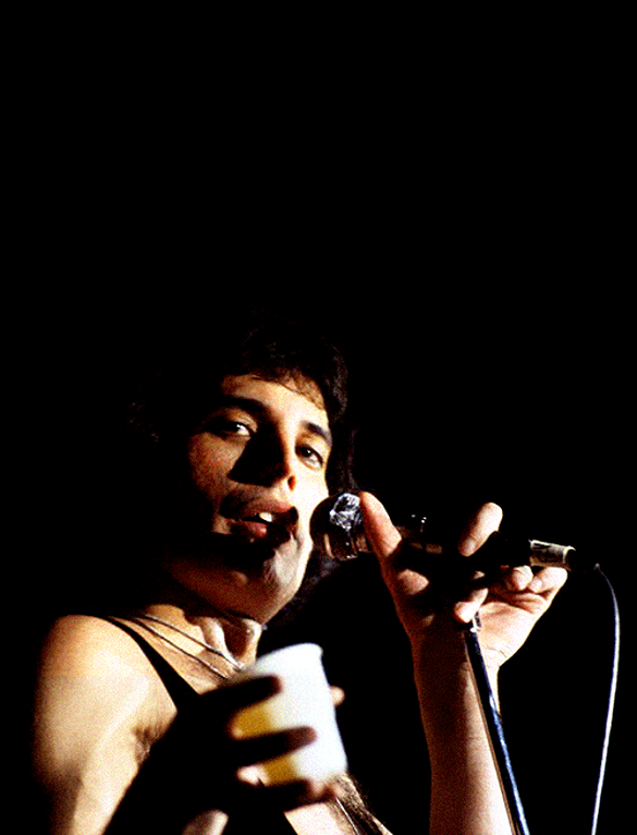 Freddie 1976 live